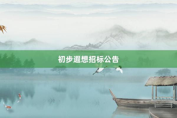 初步遐想招标公告