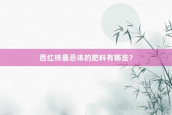 西红柿最忌讳的肥料有哪些?