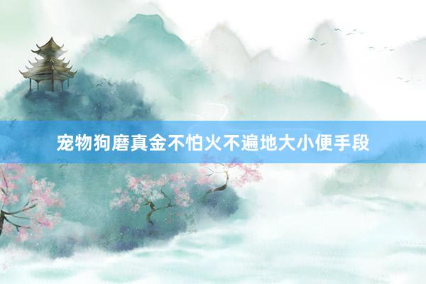 宠物狗磨真金不怕火不遍地大小便手段